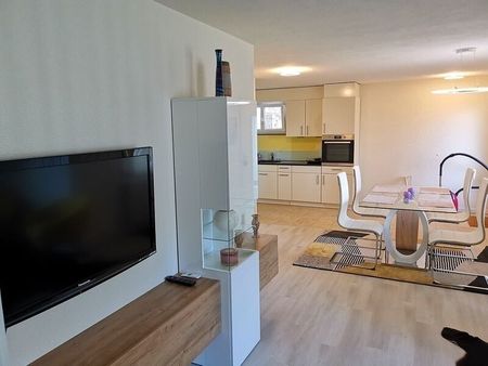 2-ROOM APARTMENT IN MERLISCHACHEN (SZ), FURNISHED, TEMPORARY - Photo 3