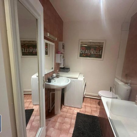 Appartement à louer 1 pièce 26.5m² - Photo 3