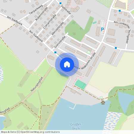 Prof.-Willkomm-Straße 2b, 09212 Sachsen - Limbach-Oberfrohna