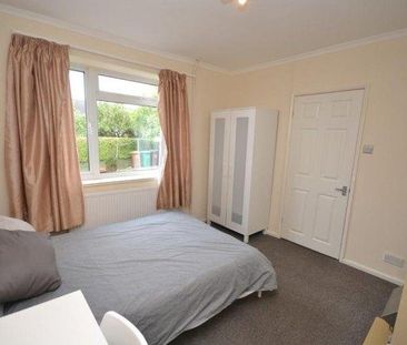 3 bedroom house share to rent - Photo 6