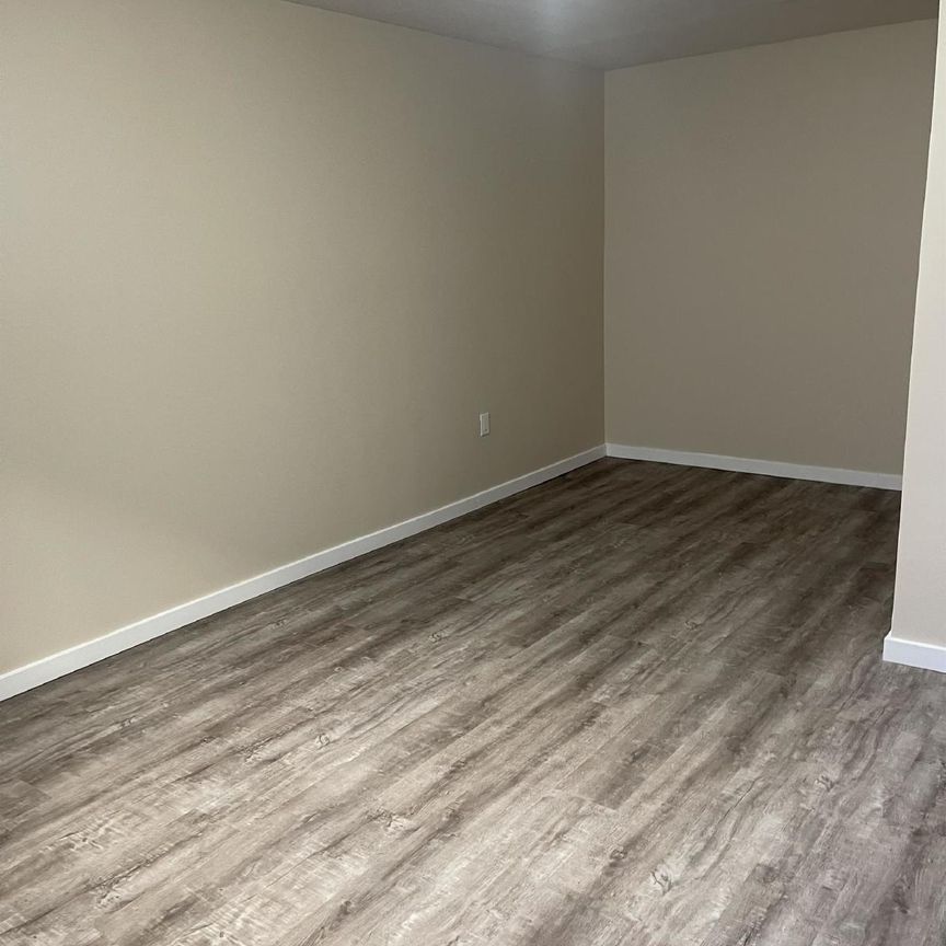 PULSE 6-PLEX - 3 - Photo 1