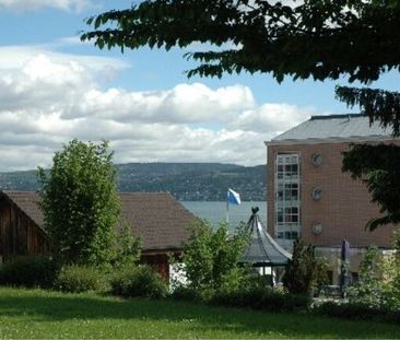 LOCATION SANS ACOMPTE - Appartement près du lac de Zurich - Photo 2