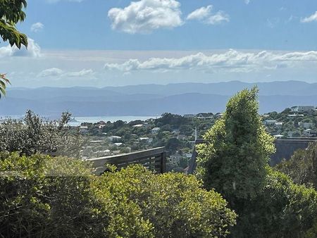 Warm Sunny 2 bedroom flat Karori - Photo 3