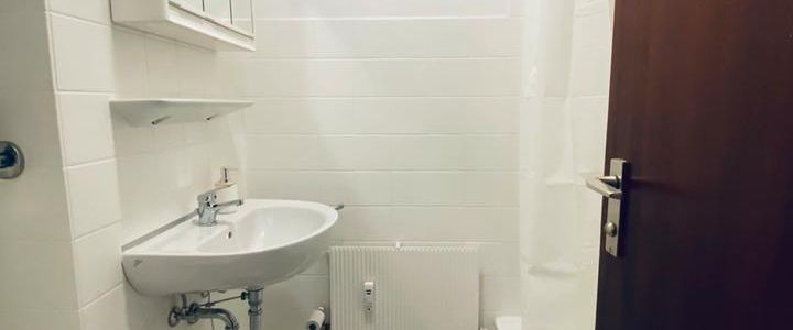 Möbl. 1 Zimmer Wohnung in Neuhausen-Nymphenburg befristet ab 6M - Foto 1