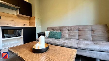 Location appartement 1 pièce 16.1 m² à Sallanches (74700) - Photo 5