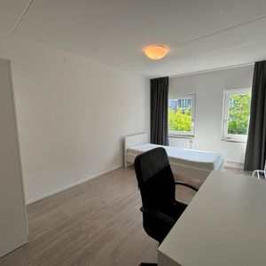 Te huur: Kamer Wycker Grachtstraat in Maastricht - Foto 2