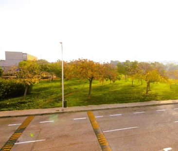 4 room luxury House for rent in Palma de Mallorca, Spain - Photo 3