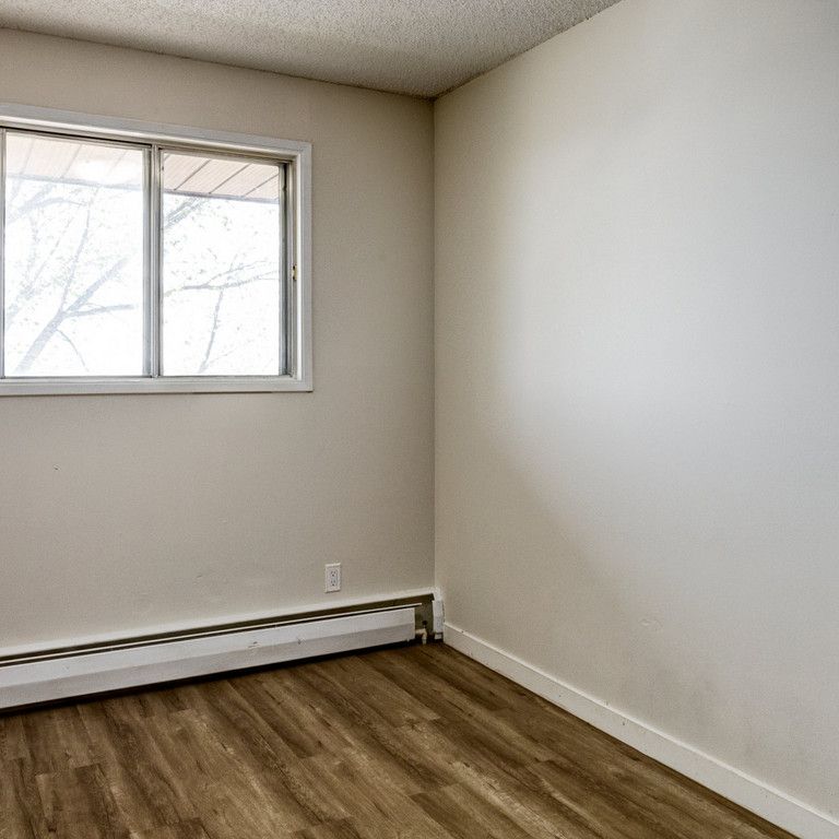 Renovated Suite - 1 Bedroom - Photo 1