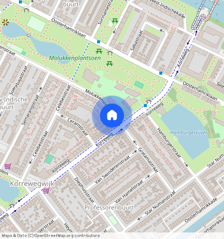 Molukkenstraat **, 9715 NV Groningen