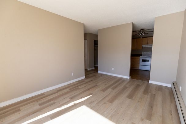 Airdrie Meadows - Photo 1