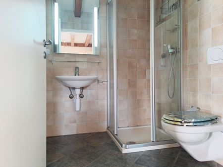 GRAND-RUE 28, Detached house with garden and terrace. - Photo 4