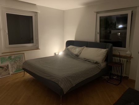 4-ROOM APARTMENT IN STÄFA (ZH), FURNISHED, TEMPORARY - Photo 3
