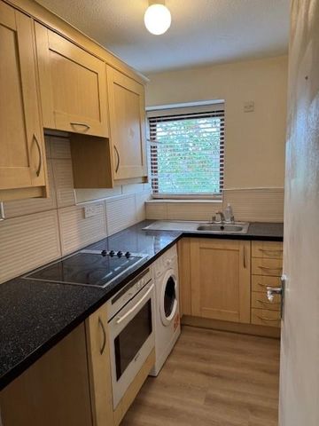 Studio to rent - Photo 2