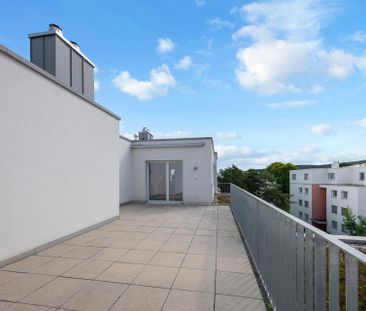Perfekte Wohnung in Dübendorf mit Dachterrasse! - Photo 6