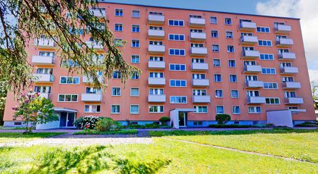 1.5 Zimmer, 37 m², 2. Stock - Photo 5