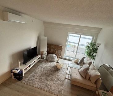 41/2 A LOUER SAINTE FOY ACCEPTE CHIENS - Photo 2