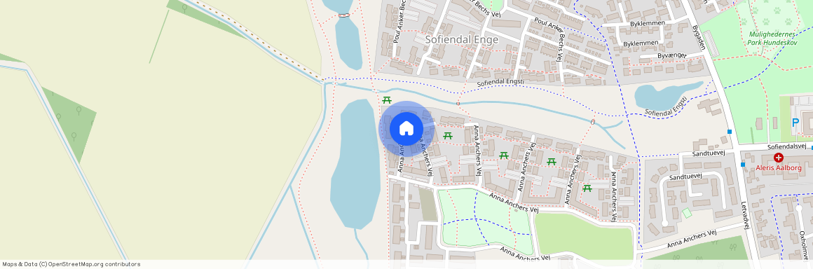 Aalborg, Anna Anchers Vej 308 1.