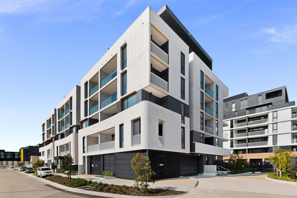 G202/9 Lightwood Ave, Highett VIC 3190 - Apartment For Rent | Domain - Photo 1