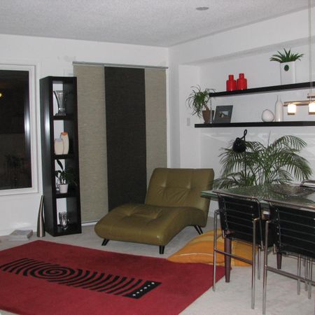 Beautiful Townhouse – Walking distance to CHEO & General Hos - Photo 3