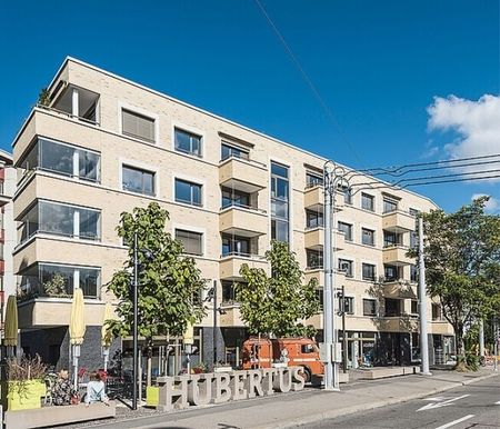 Charming 2.5 room apartment for rent in Albisriederstrasse 172 Zurich - Photo 4