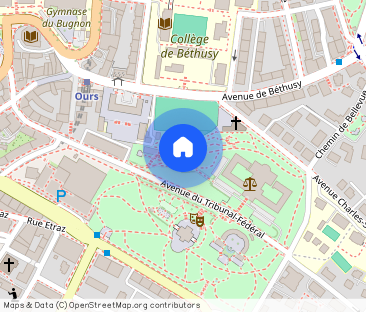 STUDIO IN LAUSANNE – CITY CENTER, FURNISHED, TEMPORARY RENTAL - Photo 1