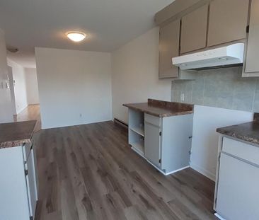 Grand 4.5 haut TRIPLEX N-Rosemont Est/Anjou/St. Léonard - Photo 4