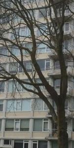 Gerstkamp, 2592 CS Den Haag, Nederland - Photo 4