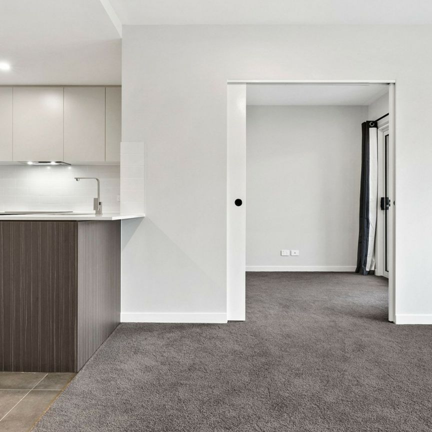 One Bedroom Apartment in Downer! - Photo 1