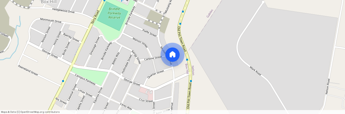 166 Mustang Avenue, NSW 2765, Box Hill