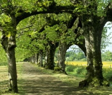 East Pavilion, 144 Derrycaw Road, Moy, BT71 6NA - Photo 6