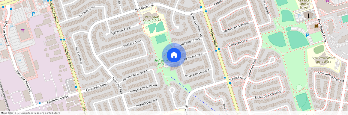 38 Audrelane Court Unit# Basement, Toronto