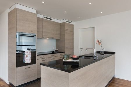 Modern attic apartment in the center of Buchs - Photo 2