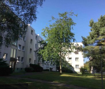 Praktische 3-Zimmer Wohnung mit Balkon am Johannesberg zu vermieten - Foto 3