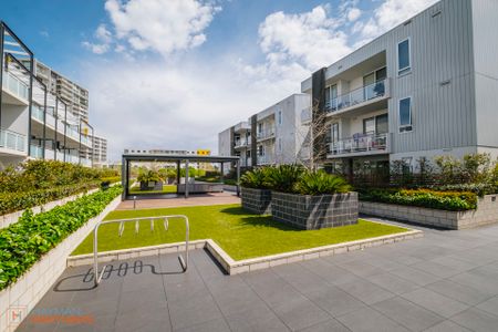 62/1 Surprize Place, Phillip ACT 2606 - Apartment For Rent | Domain - Photo 4