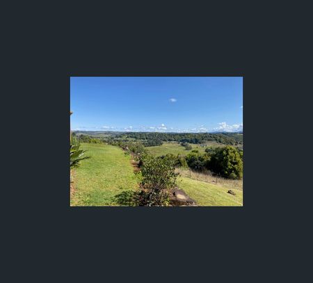 50 Elliot Road, Clunes, NSW 2480 - Photo 3