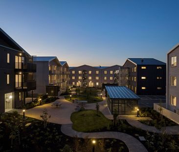 Cute, Light 2 bedroom 2 bathroom Apartment - Photo 3