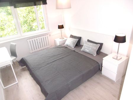 Szczecin na wynajem, 2 pok z balkonem - Фото 5