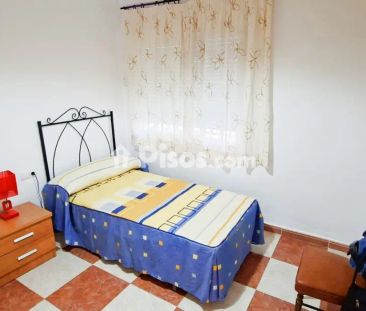 Piso en alquiler en Campanillas - Foto 3