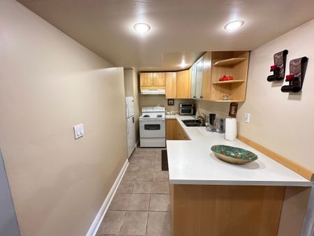 For Lease - 27 Kiwi Crescent Unit# Bsmt, Richmond Hill, Ontario - Photo 2