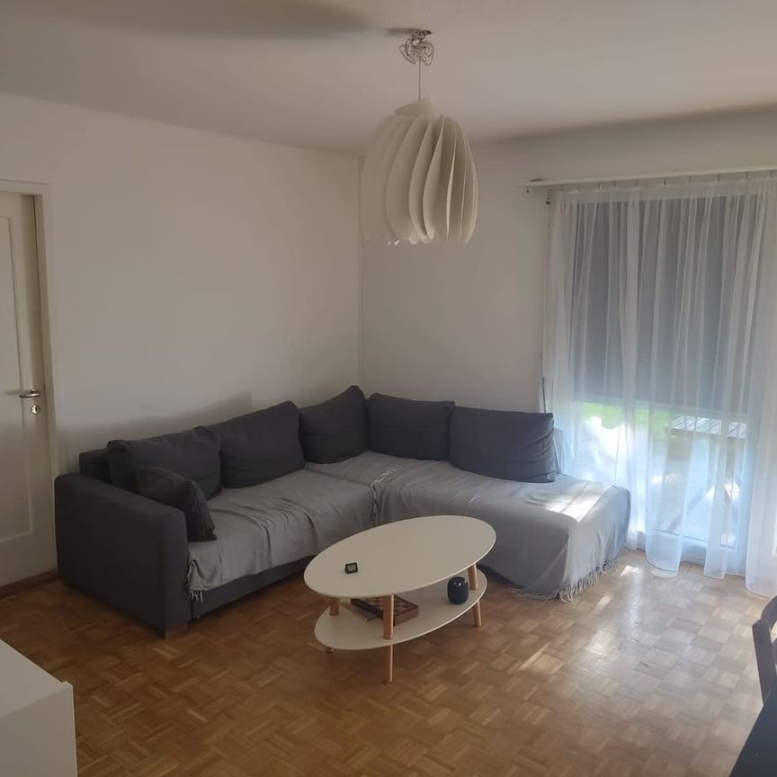 3 Zimmer, 55 m², EG - Photo 1