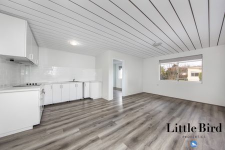 2/56 Crest Road, Queanbeyan NSW 2620 - Apartment For Rent | Domain - Photo 4