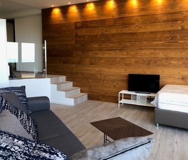 Rent a 1 room apartment in Wienacht-Tobel - Photo 4