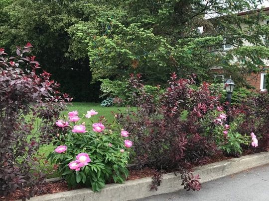 Maison de plain-pied à louer - Gatineau (Gatineau) (La Sablonnière) Maison de plain-pied à louer - Gatineau (Gatineau) (La Sablonnière) - Photo 1