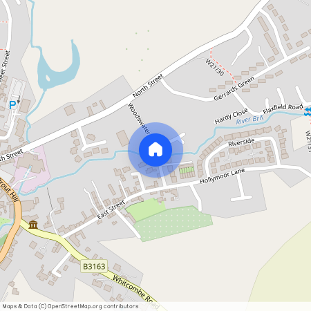 Woodswater Lane, Beaminster, DT8