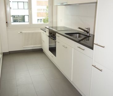 Proche des organisations internationales - Photo 6