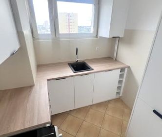 Pokój, Przyjaźni - Zdjęcie 5