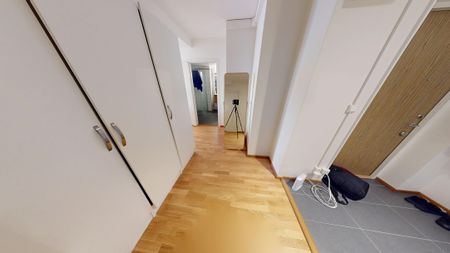 Drottninggatan, Helsingborg - Foto 5