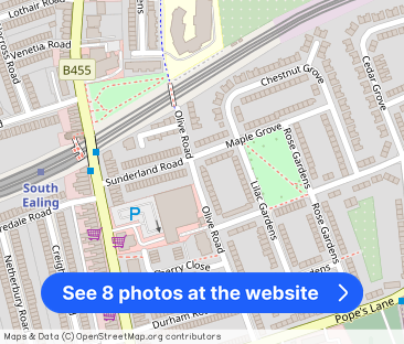 Olive Road - Photo 1