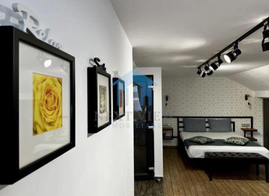 Apartament 1 camera, Dambul Rotund - Fotografie 1