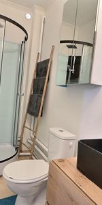 Location appartement 1 pièce, 20.20m², Le Blanc-Mesnil - Photo 4